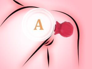 Sucking Suction Dildo Vibrator